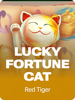 Lucky Fortune Cat