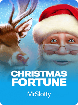 3 Christmas Fortunes