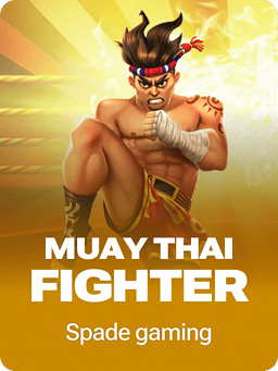 Muay Thai Fighter
