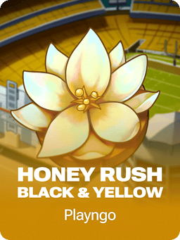 Honey Rush Black and Yellow