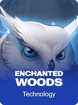 Enchanted Woods