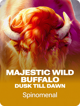 Majestic Wild Buffalo - Dusk Till Dawn