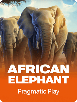 African Elephant