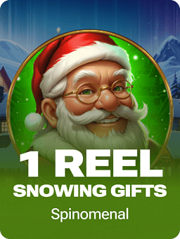 1 Reel - Snowing Gifts