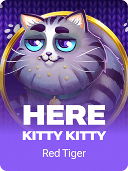 Here Kitty Kitty