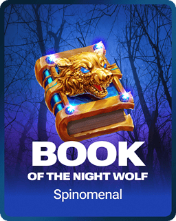 Book of The Night Wolf