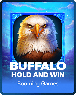 Buffalo Hold and Win