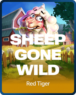 Sheep Gone Wild