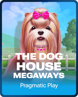 The Dog House Megaways