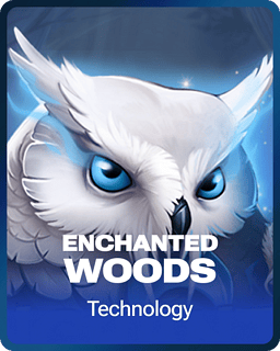 Enchanted Woods