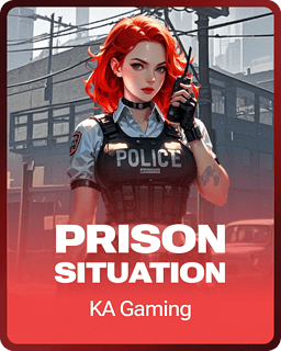 Prison Situation