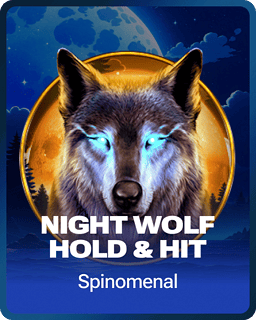 Night Wolf - Hold & Hit