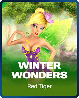 Winter Wonders