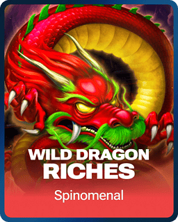 Wild Dragon Riches