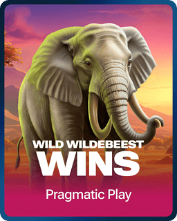 Wild Wildebeest Wins