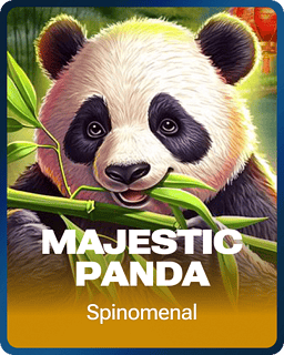 Majestic Panda