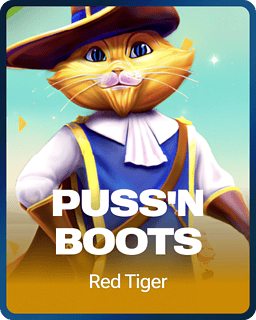 Puss 'N Boots