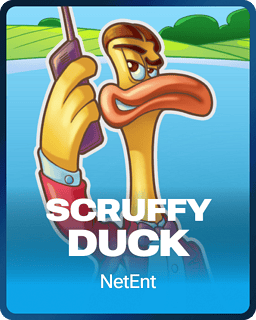 Scruffy Duck