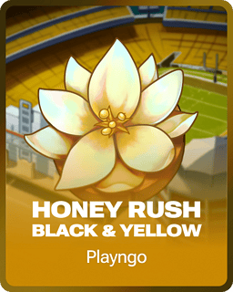 Honey Rush Black and Yellow