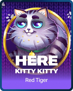 Here Kitty Kitty