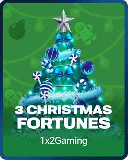 3 Christmas Fortunes