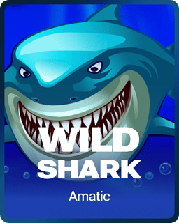 Wild Shark