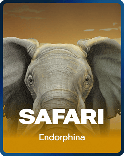 Safari