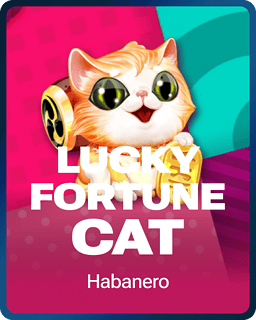 Lucky Fortune Cat