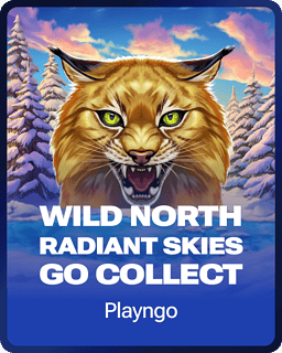 Wild North Radiant Skies GO Collect
