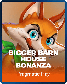 Bigger Barn House Bonanza