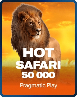Hot Safari 50 000