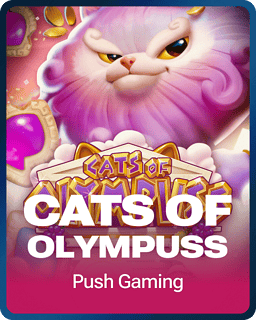 Cats of Olympuss