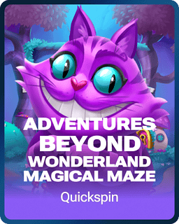 Adventures Beyond Wonderland Magical Maze