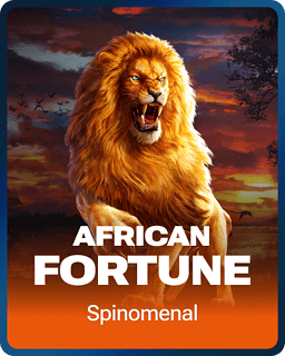 African Fortune