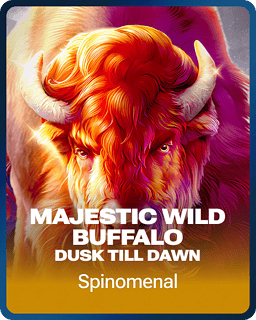 Majestic Wild Buffalo - Dusk Till Dawn