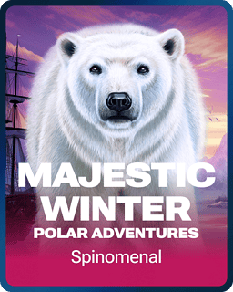 Majestic Winter - Polar Adventures