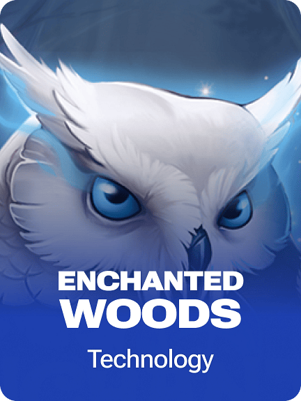 Enchanted Woods