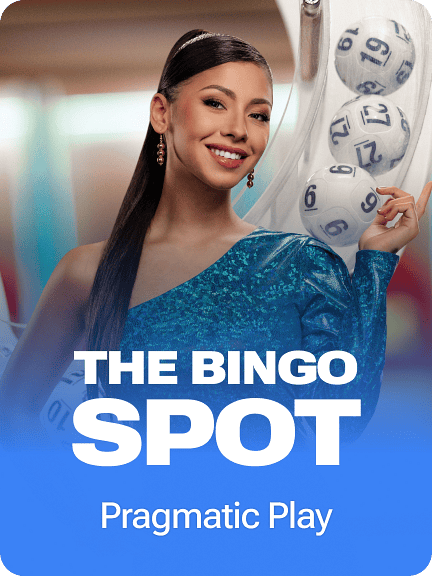 The Bingo Spot