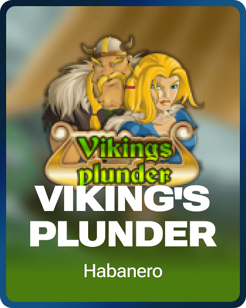 Viking's Plunder