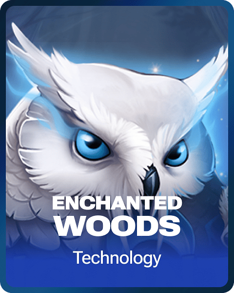 Enchanted Woods