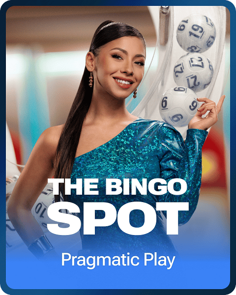 The Bingo Spot