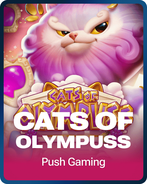 Cats of Olympuss